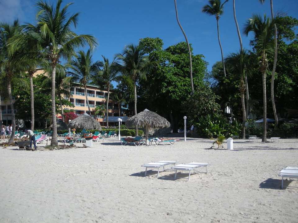 Beach whala!boca chica