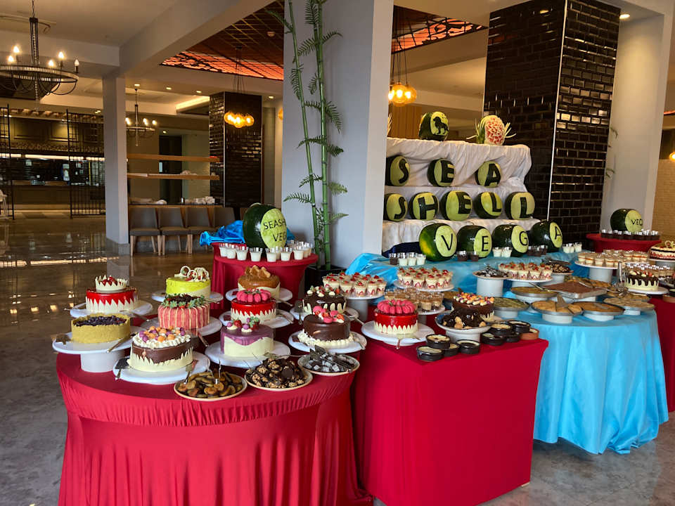 Gastro Seashell Vega