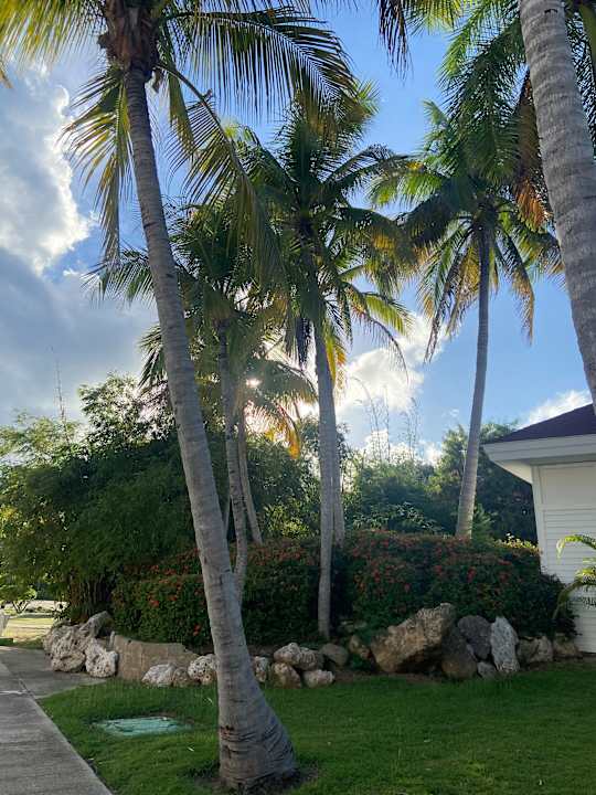 Gartenanlage Meliá Península Varadero