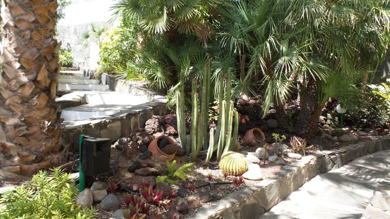 Garten allsun Hotel Lucana