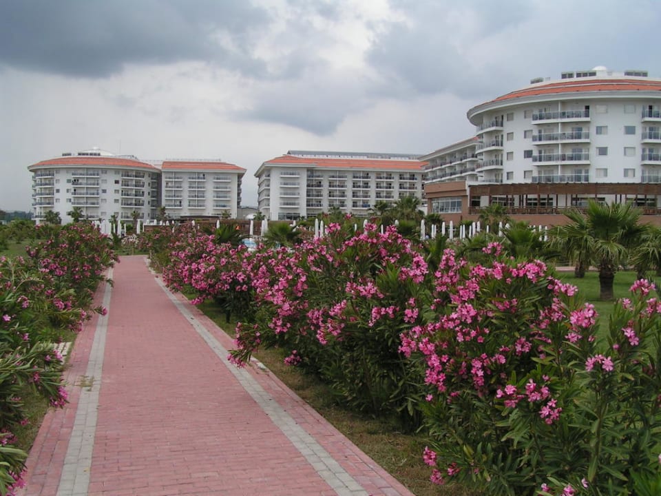 Ansicht vom Strand her. Seaden Sea World Resort & Spa