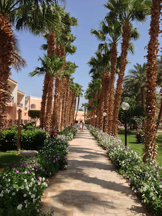 Garten Beach Albatros Resort