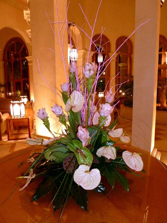 Blütenzauber Ghazala Gardens