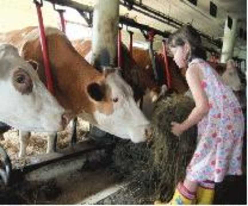 Kinder sind im Stall willkommen Ferienwohnungen Waldschönau