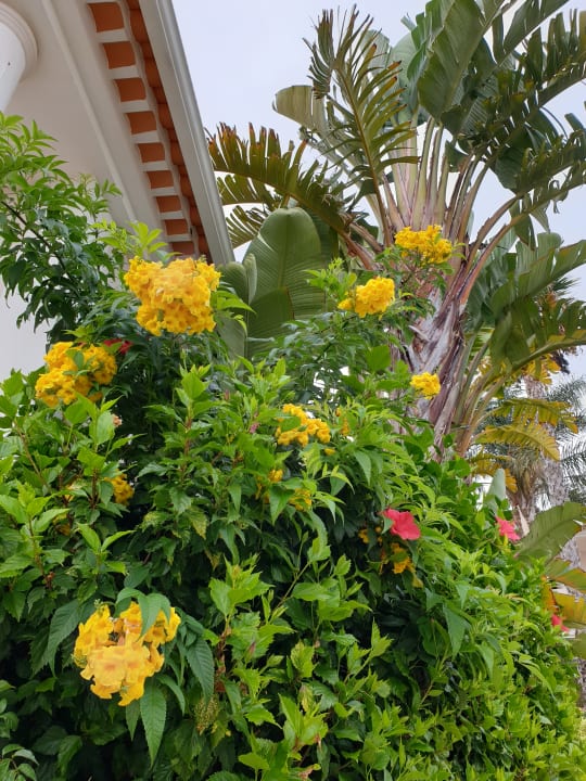 Garten Hotel Clube Porto Mos