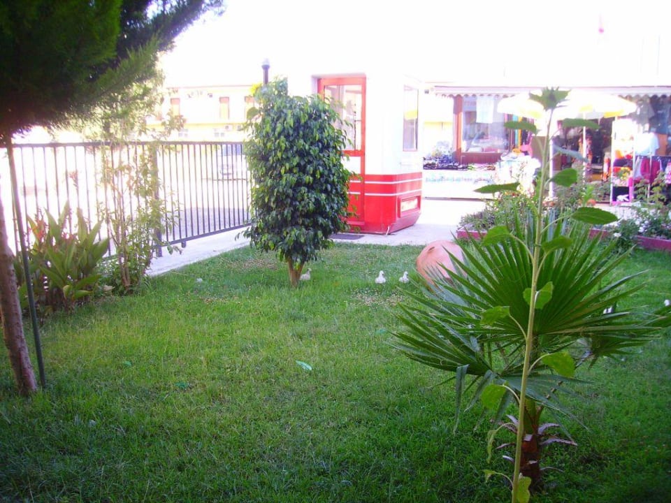 Hotelbereich Eingang  Sayanora Hotel