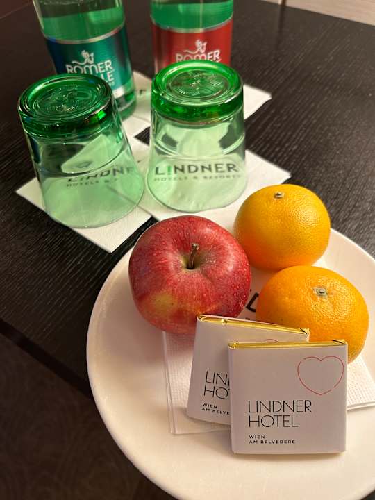 Zimmer Lindner Hotel Vienna Am Belvedere, part of JdV by Hyatt