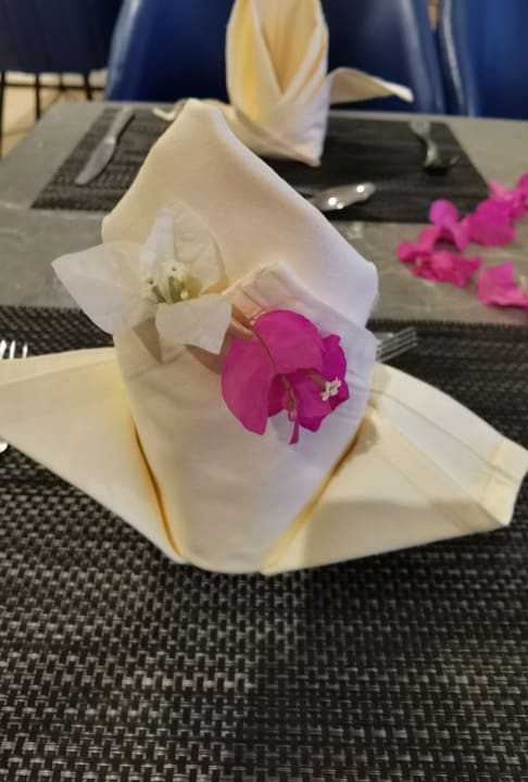 Gastro Beach Albatros Resort