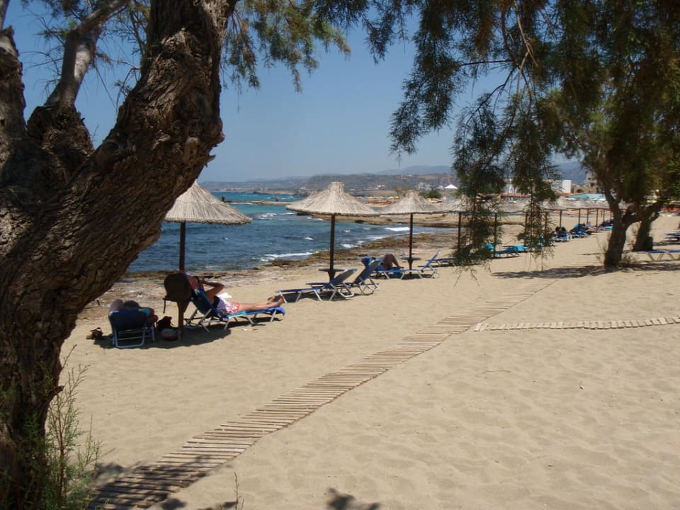 Strand Phãea Cretan Malia