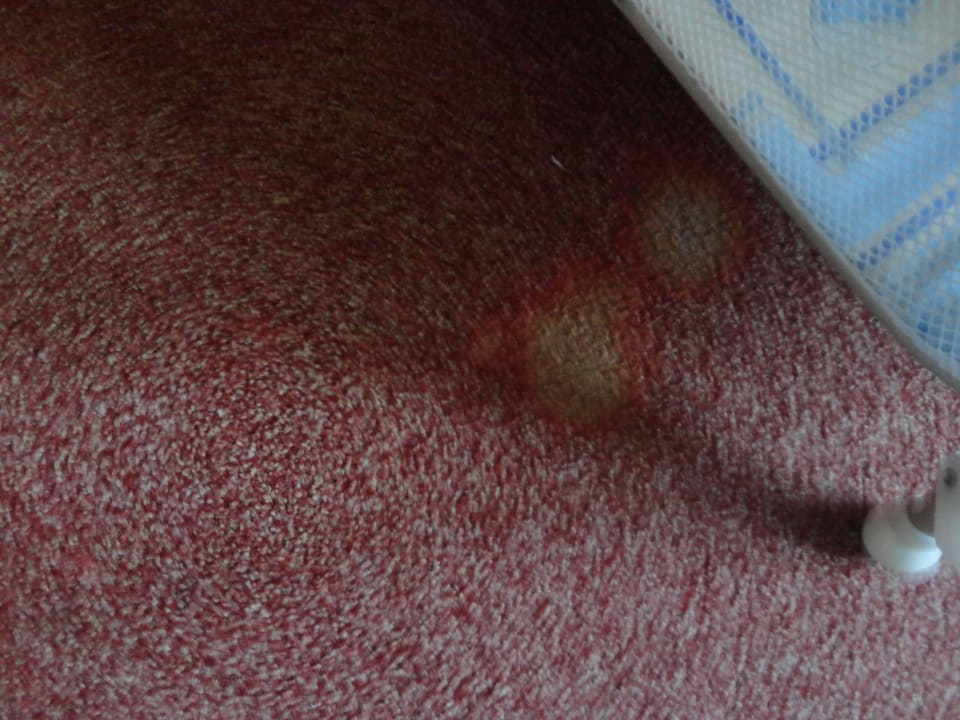 Kinderzimmer Center Parcs Port Zélande