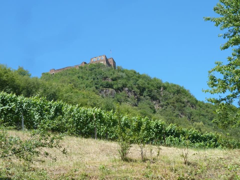 Ausblick Schloss Hotel Korb
