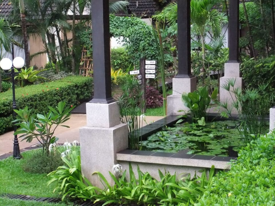 Teich mit Koi-Karpfen an der Lobby Hotel Phuket Island View