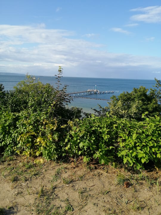 Ausblick Hotel Bernstein Rügen
