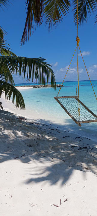 Strand Summer Island Maldives