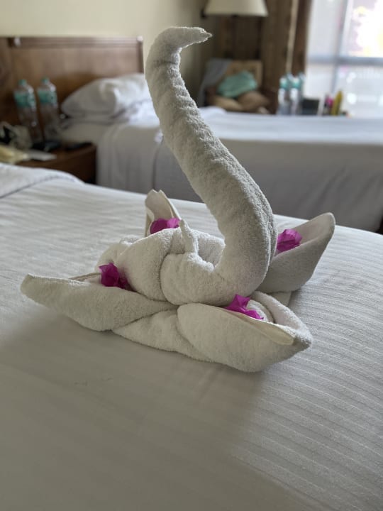 Zimmer Three Corners Equinox Beach Resort