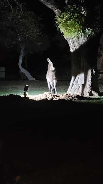 Ausblick Kalahari Bush Breaks Lodge