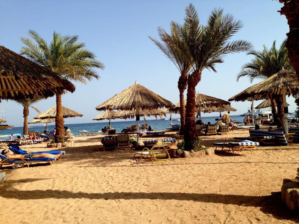 Meer sauber JAZ Fayrouz