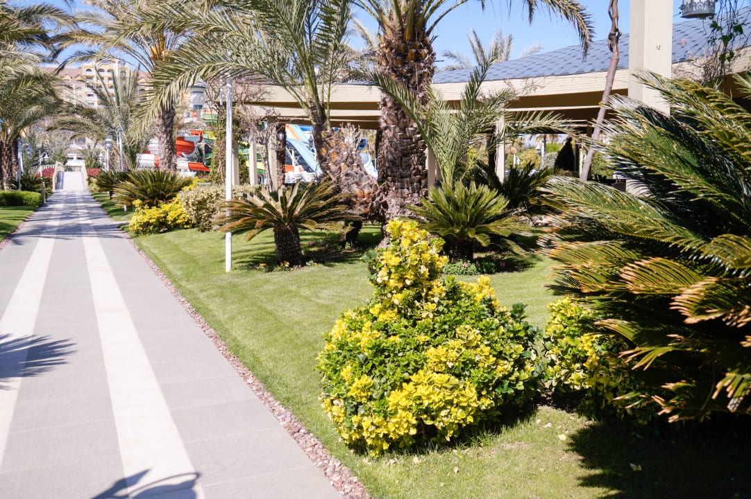 Gartenanlage Royal Holiday Palace