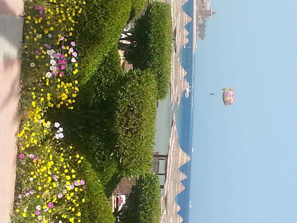 Garten am Pool Cleopatra Luxury Resort Makadi Bay