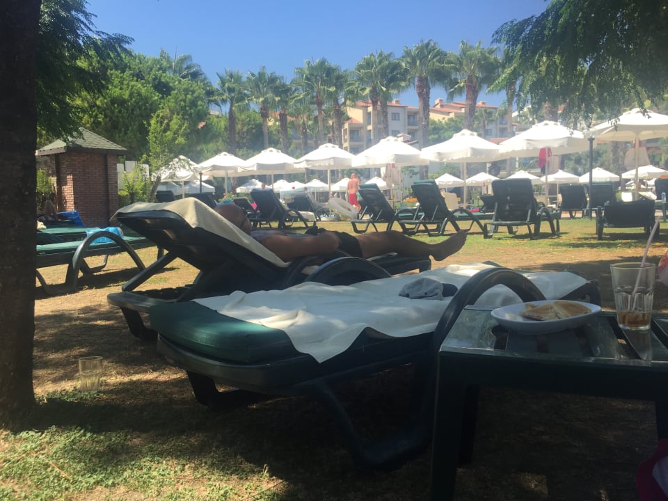 Gartenanlage Arum Barut Collection