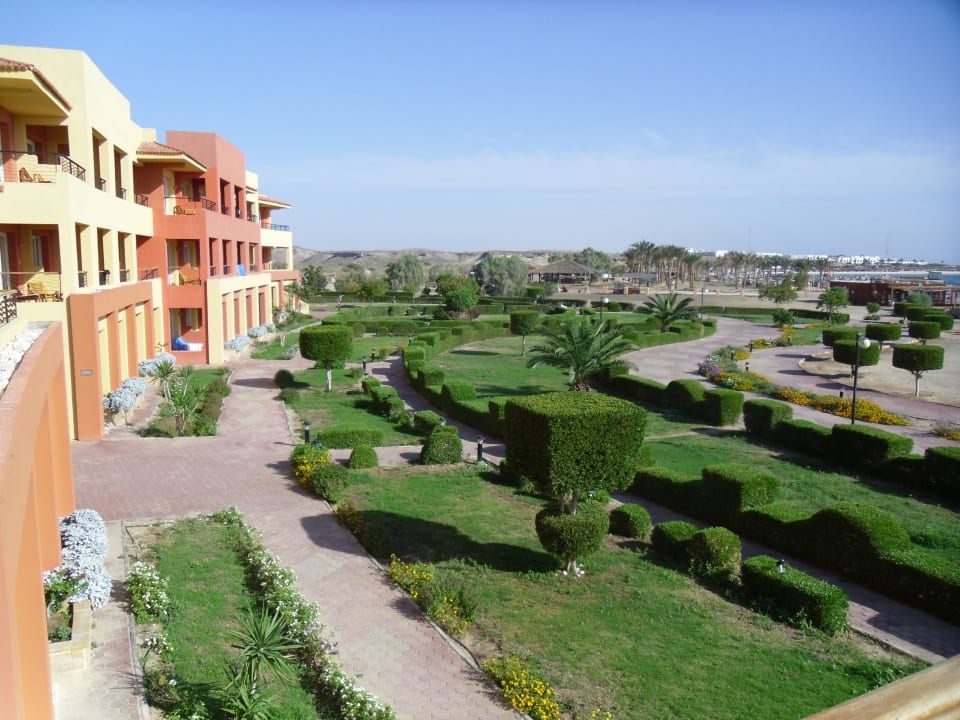 Widok z pokoju Malikia Resort Abu Dabbab