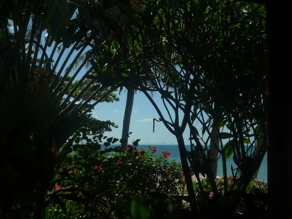 Von der Terrasse aus Coconut River Haus R2