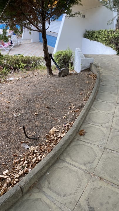 Pool Ralitsa Aqua Club