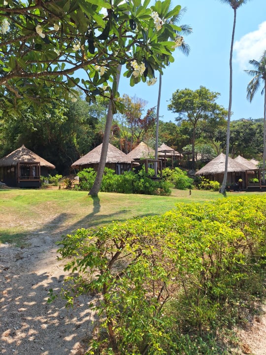 Zimmer The Haad Tien Beach Resort
