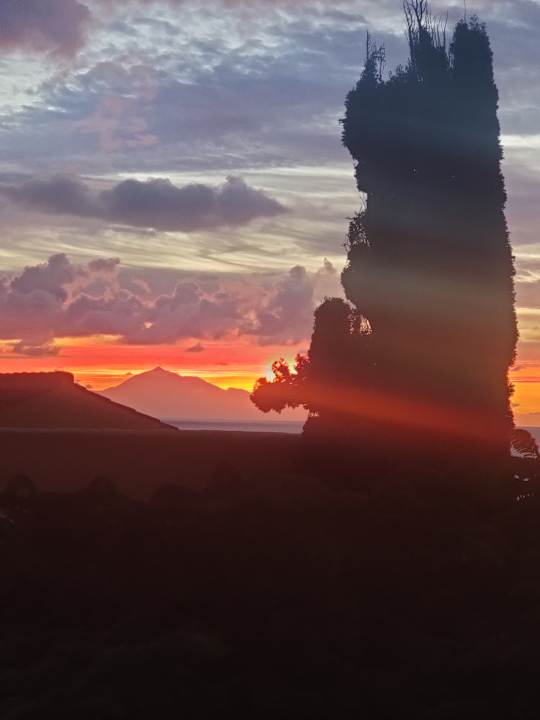 Ausblick Apartamentos La Caleta