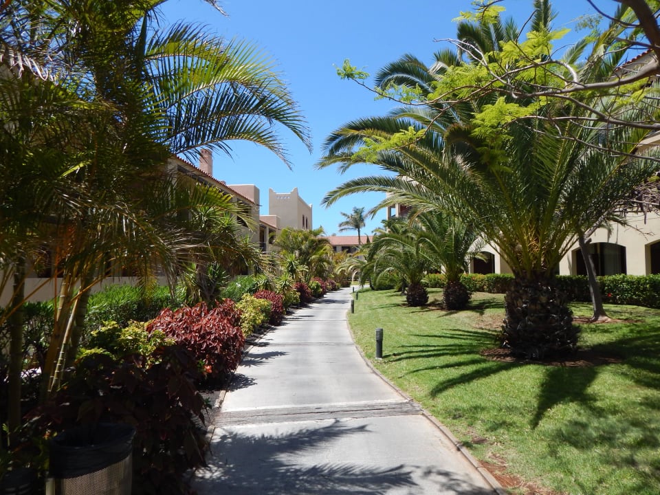 Gepflegte Gartenanlage La Palma Princess