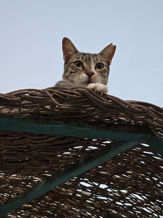 Strand Bella Vista Resort Hurghada