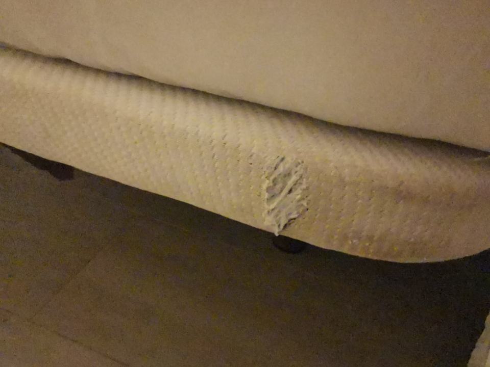 Zimmer Grupotel Alcudia Pins