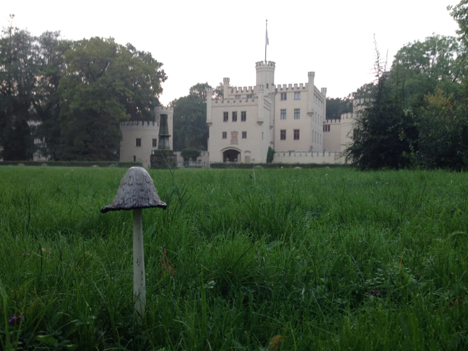 Pilze vor dem Schloss Hotel Jagdschloss Letzlingen
