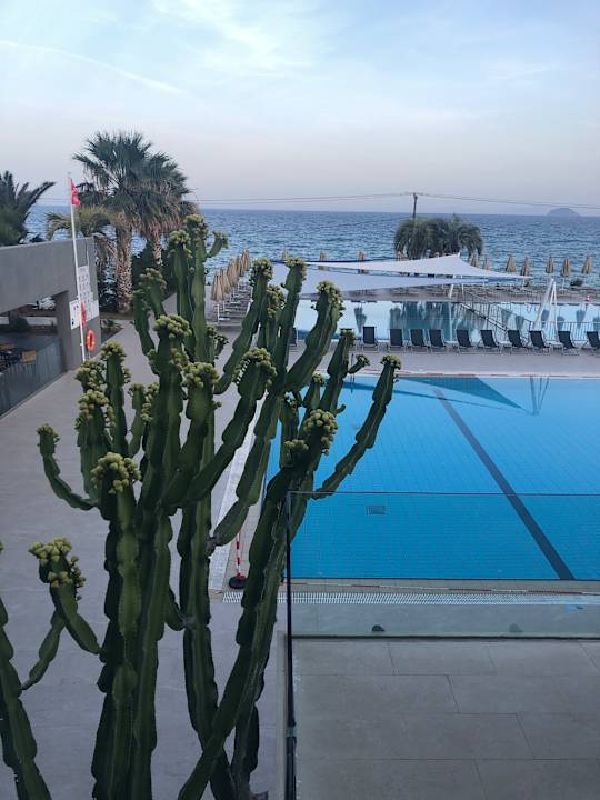 Pool Atlantica Mikri Poli Kos