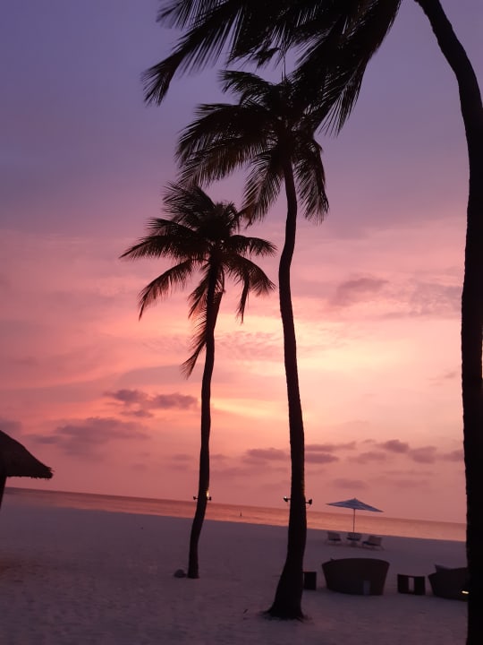Strand Bucuti & Tara Beach Resort - Adults only
