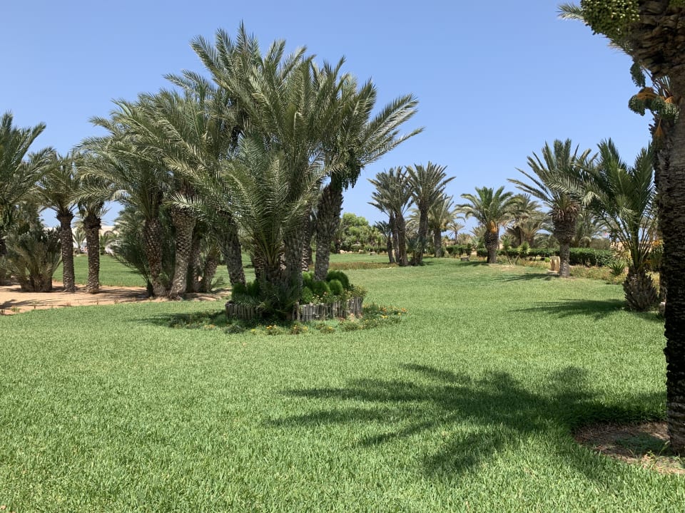 Gartenanlage Hotel Royal Garden Palace