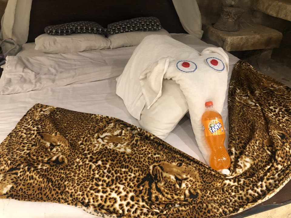 Zimmer Hotel Caves Beach Resort (Adults Only)