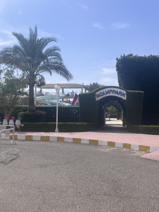 Sport & Freizeit Desert Rose