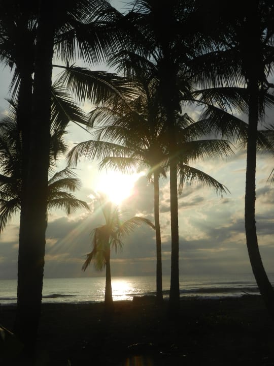 Morgenstimmung am Strand Hotel Turtle Beach Lodge