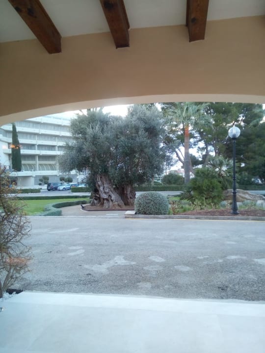 Außenansicht CM Mallorca Palace - Adults Only