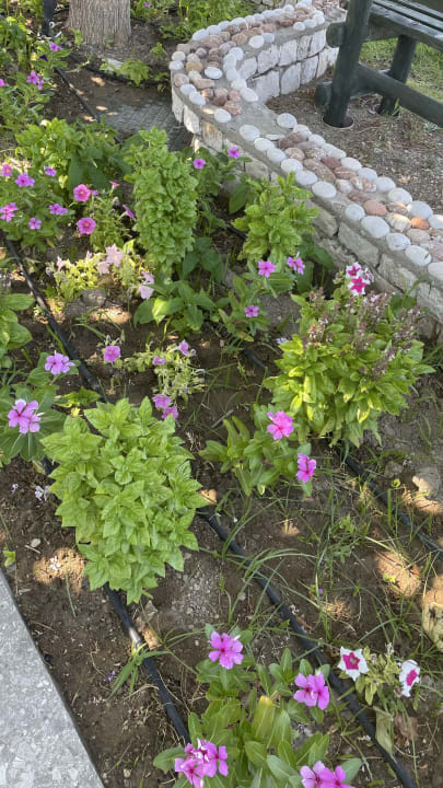 Gartenanlage Rodos Palladium Leisure & Wellness