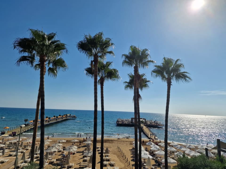 Ausblick Arum Barut Collection