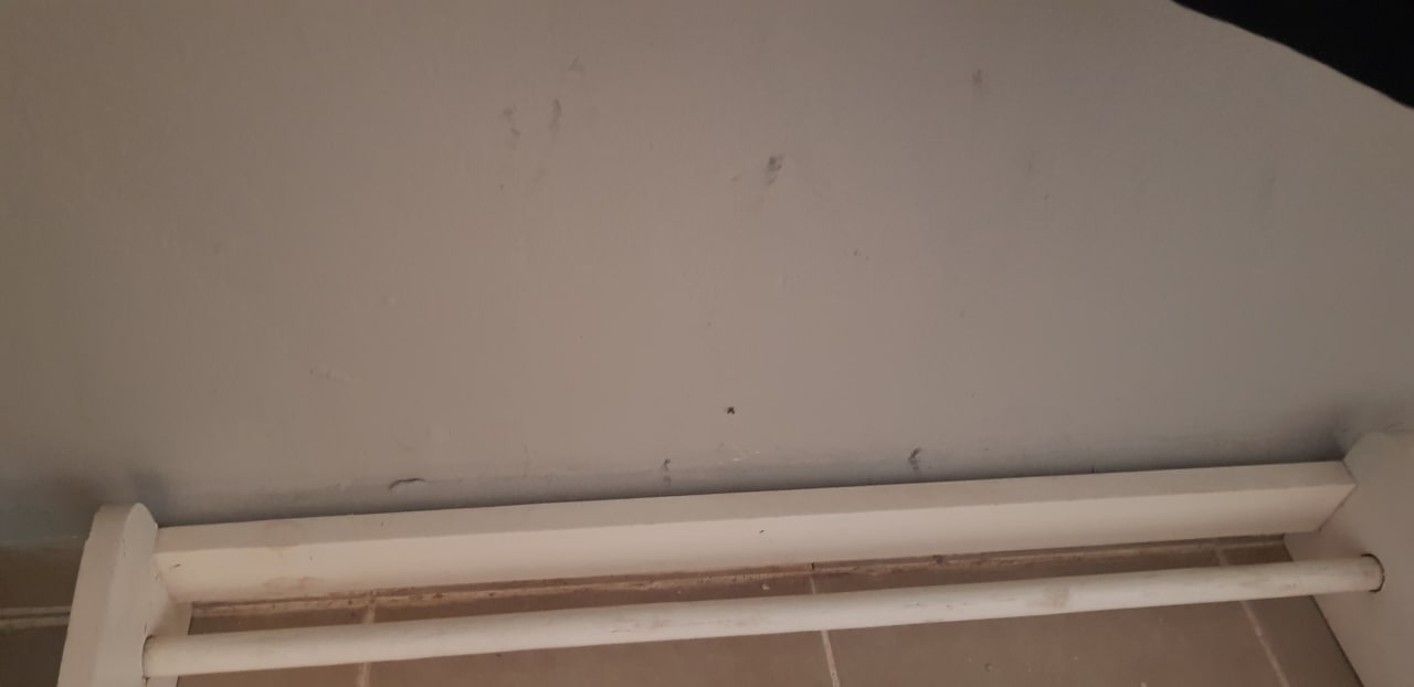 Zimmer Sirenis Tropical Varadero