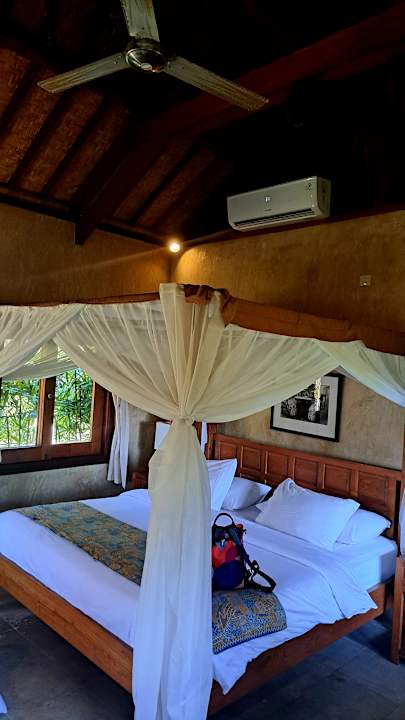 Zimmer Three Monkeys Villas