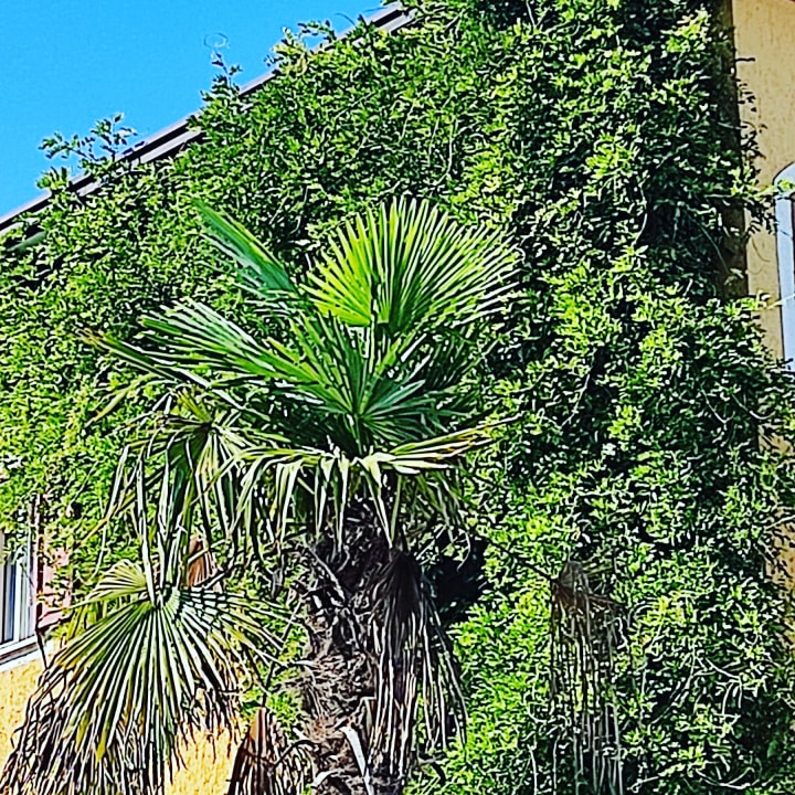 Außenansicht La Quiete Park Hotel