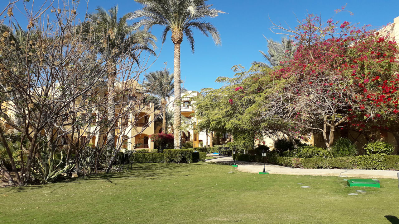 Außenansicht Steigenberger Coraya Beach - Adults only