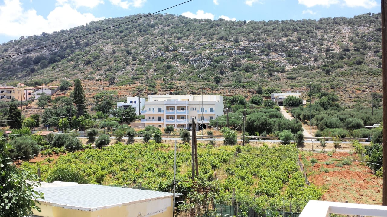 Blick vom Zimmer 421 Cactus Royal