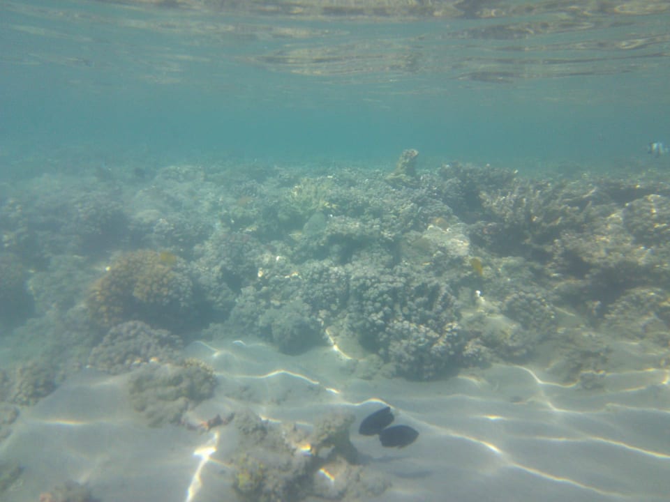 Strand Cleopatra Luxury Resort Makadi Bay