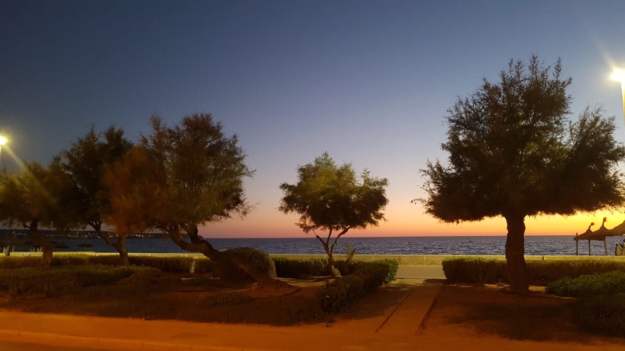 Strand Grupotel Acapulco Playa - Adults Only