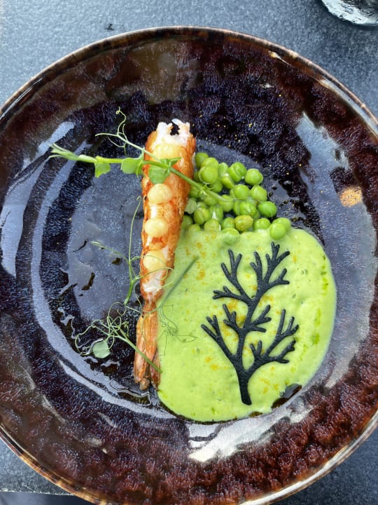 Gastro Seaside A Lifestyle Resort